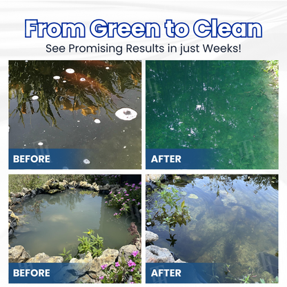 🧬 Clears Green Water in 24h | 100% Fish Safe (Bio-Formula) AEXZR® Aqua-Guardian Pro